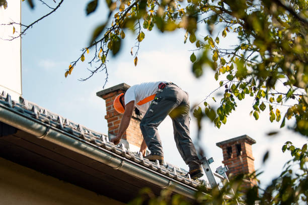Best Emergency Roof Repair  in Whitmore Lake, MI