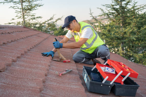 Best Roofing Contractor Near Me  in Whitmore Lake, MI
