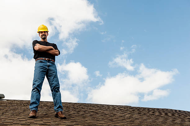 Best Roof Gutter Cleaning  in Whitmore Lake, MI