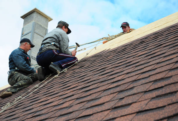 Best New Roof Installation  in Whitmore Lake, MI