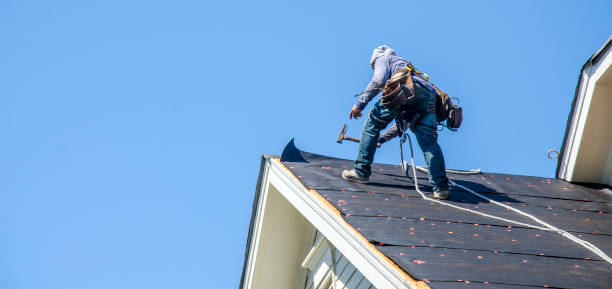 Best Best Roofing Contractors  in Whitmore Lake, MI